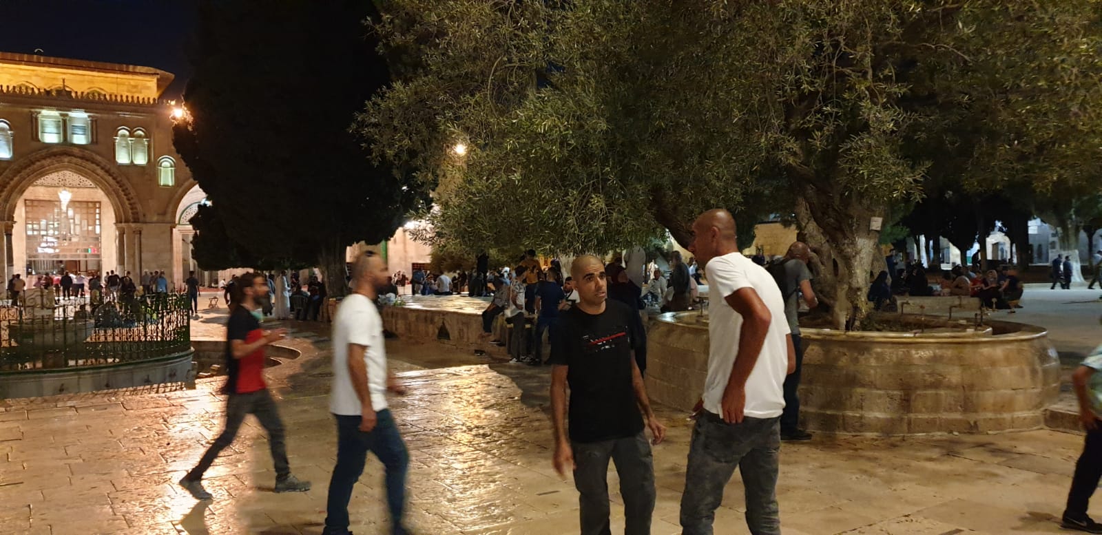 WhatsApp Image 2020-07-30 at 8.29.56 PM.jpeg.jpeg